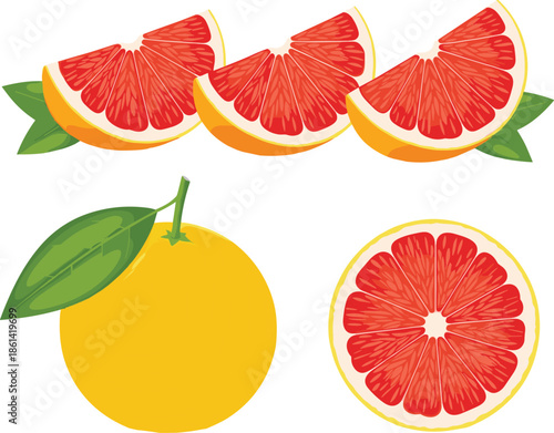 Grapefruit fruit icons, whole sliced cross-section, citrus food graphic, red flesh yellow rind, flat vector illustration