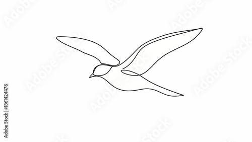 A white dove of peace flies in a vector illustration, creating a symbolic silhouette of a pigeon with open wings that represents freedom, love, and nature in a clean cartoon art design