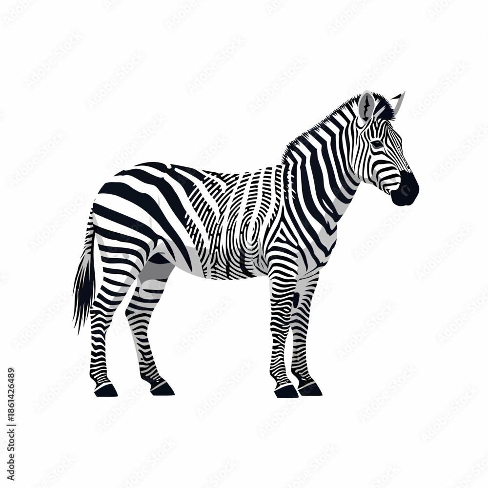 Obraz premium A vector illustration of a zebra standing on a white background, featuring abstract and stylized black and white stripes for a modern graphic design aesthetic.