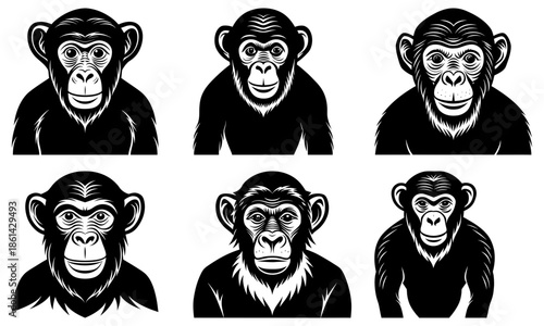 Six Black and White Chimpanzee Faces with Different Expressions on White Background monkey primate 1