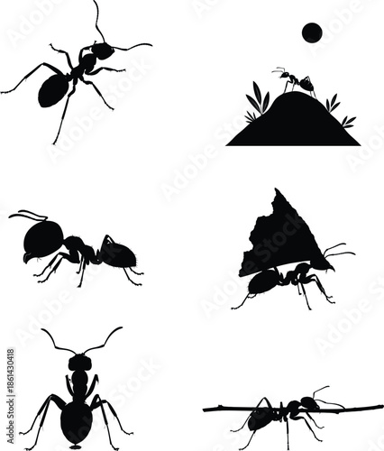 Silhouette of various objects and ants  in different poses and environments showcasing a range of shapes and forms in silhouette