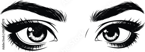Expressive female eyes with bold lashes and arched eyebrows in black and white vector style for beauty and fashion themes