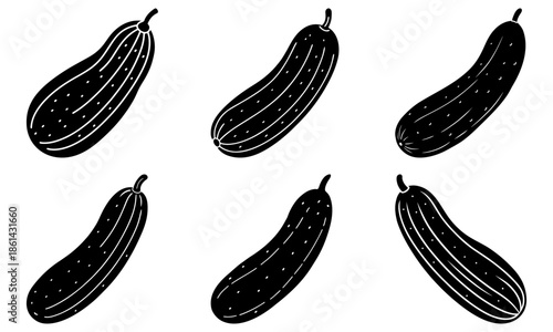 Five Black Cucumbers with White Dots on White Background vegetable 1