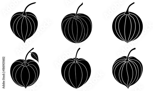 Five Horned Melon Fruit Silhouettes on White Background kiwano African horned cucumber 1