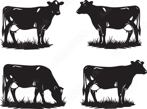Dairy Cow Silhouette Bundle for Milk Brand or Logo Design - cow, silhouette, vector, animal, farm, cattle, dairy, black, illustration, set, collection, agriculture, livestock, grazing, grass, 
