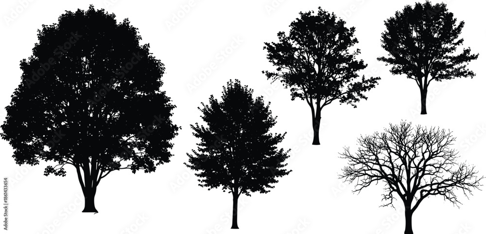 Fototapeta premium Five Detailed Tree Silhouette Vector Set, Lush Foliage and Bare Winter Tree Outline Collection, Nature Landscape Black Graphic