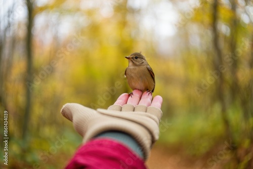 Small brown bird perched on an open hand wearing a glove small bird