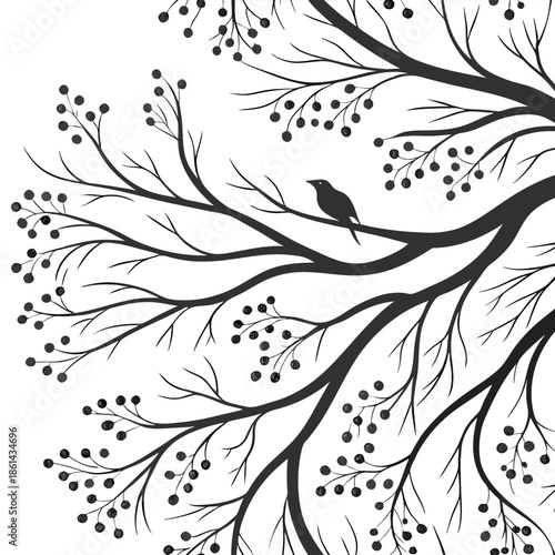 Black silhouette of a bird on a tree branch with small berries against a white background vector illustration