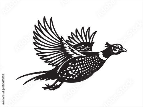 Flying Pheasant Bird Vector. Flying pheasant bird silhouette vector illustration