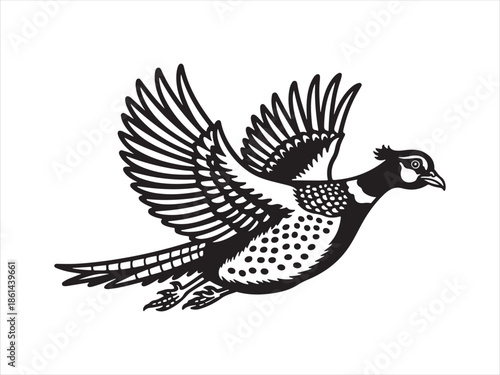 Flying Pheasant Bird Vector. Flying pheasant bird silhouette vector illustration