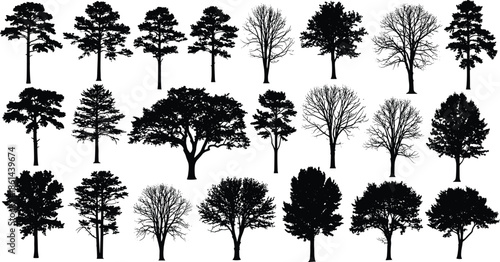 Tree silhouette set, black pine and oak nature plants, bare winter branches, forest vector collection for landscape design.
