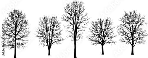 Bare winter tree silhouette set, black leafless branches, dead wood trunk, dry nature plant vector collection for landscape design.