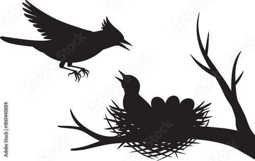 Blue jay silhouette feeding eager chick resting in large nest atop sturdy tree branch