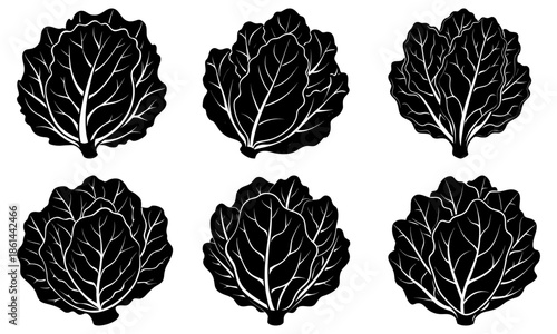 Six black cabbage leaf silhouettes on white background leaves vegetable
