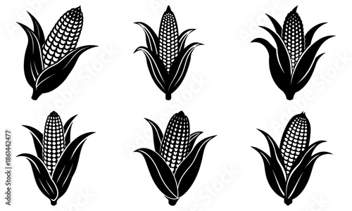 Six black and white corn cobs with husks on a white background