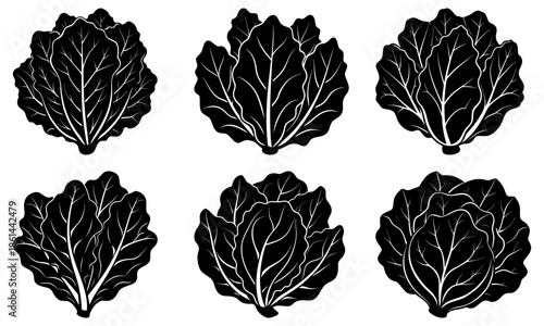Six Black Leaf Silhouettes on White Background leaves plant