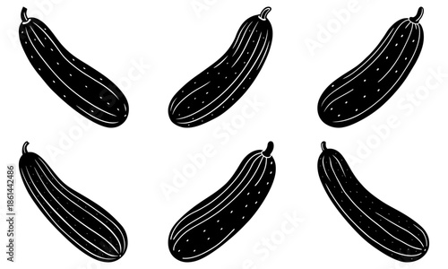 Five Black Cucumbers with White Dots on White Background vegetable