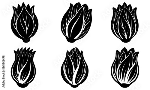 Six black and white onion bulb on a white background vegetable plant