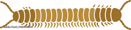 Detailed Brown Centipede or Millipede Insect Vector Illustration on White Background