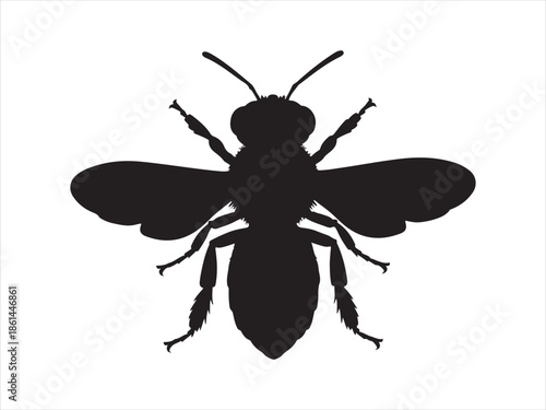Honey Bee icon, honey bee silhouette vector illustration 