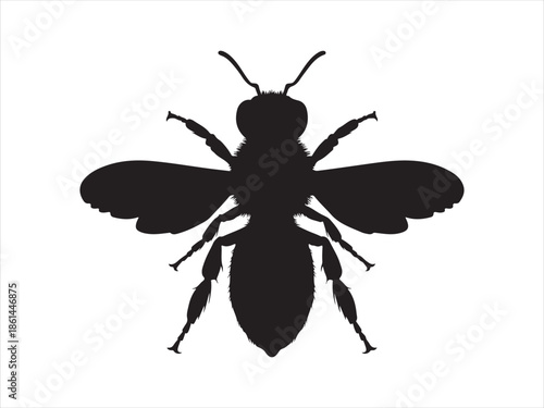 Honey Bee icon, honey bee silhouette vector illustration 
