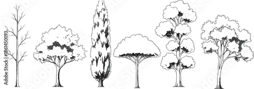 Hand drawn tree silhouettes collection featuring diverse forest species, botanical outlines, landscape elements, nature illustration set isolated vector design artwork