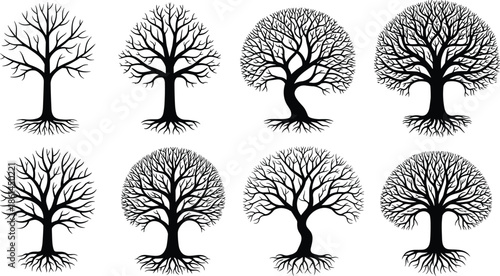 Bare tree silhouette collection showing detailed branches and roots, seasonal nature elements, botanical forest design set isolated vector illustration