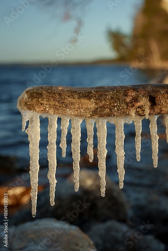 Long icicles hanging from a frozen tree branch above rocky shoreline, closeup winter nature scene with clear ice formations, soft evening sunlight and blurred blue water background.