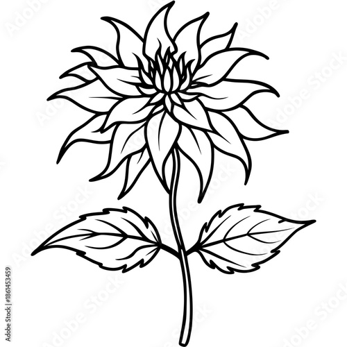  bee balm petite wonder line art flower