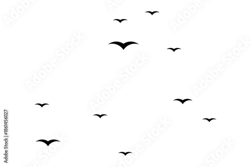 Abstract Flying Bird Flock Silhouette Pattern on White Background