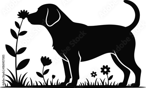 Dog Smelling Flower in Meadow
