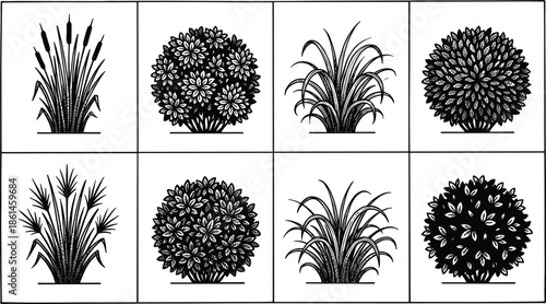 Decorative garden plant silhouettes collection with bushes grasses reeds botanical elements isolated white background illustration vector set