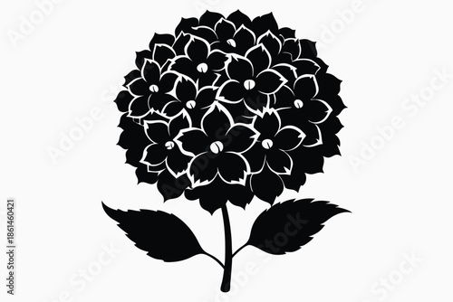 hydrangea silhouette line art vector illustration with a white background