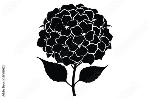 hydrangea silhouette line art vector illustration with a white background