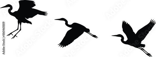 Flying heron bird silhouettes set, elegant crane wildlife poses, nature water birds in flight, isolated black vector