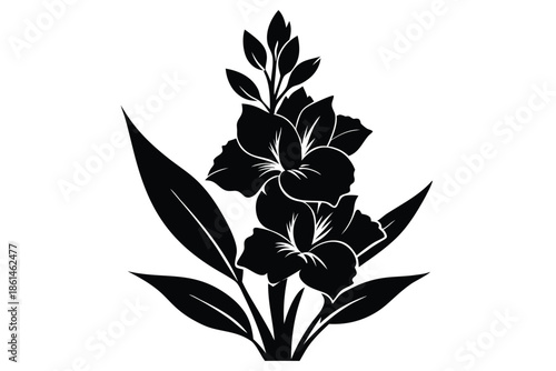 gladiolus silhouette line art vector illustration with a white background