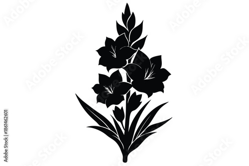 gladiolus silhouette line art vector illustration with a white background