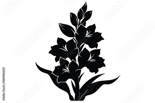 gladiolus silhouette line art vector illustration with a white background
