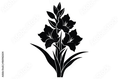 gladiolus silhouette line art vector illustration with a white background