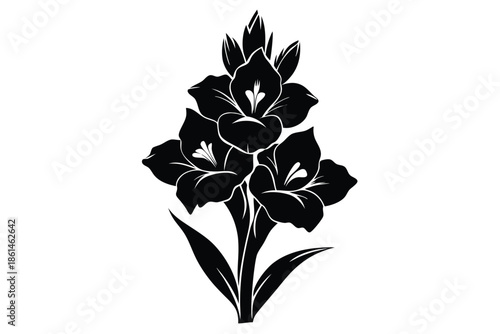 gladiolus silhouette line art vector illustration with a white background