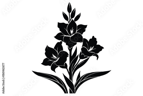 gladiolus silhouette line art vector illustration with a white background