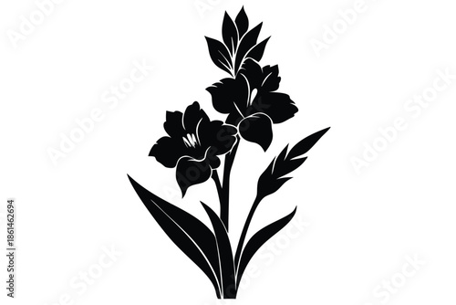 gladiolus silhouette line art vector illustration with a white background