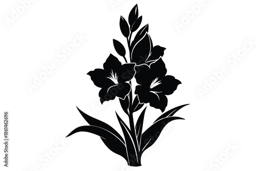 gladiolus silhouette line art vector illustration with a white background