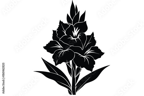 gladiolus silhouette line art vector illustration with a white background
