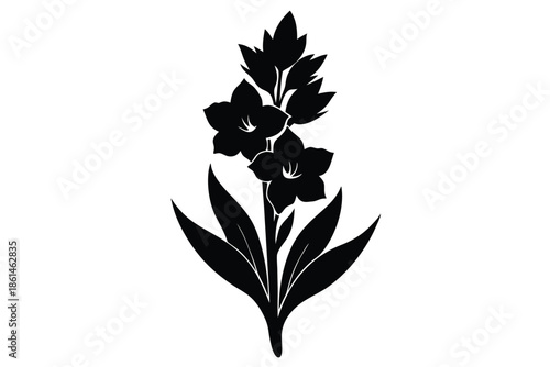 gladiolus silhouette line art vector illustration with a white background