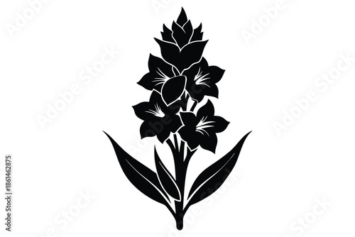 gladiolus silhouette line art vector illustration with a white background