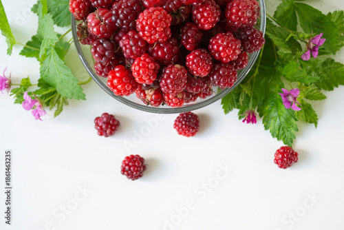 Fresh arctic raspberry (Rubus arcticus) berries in glass bowl with leaves and flowers on white background