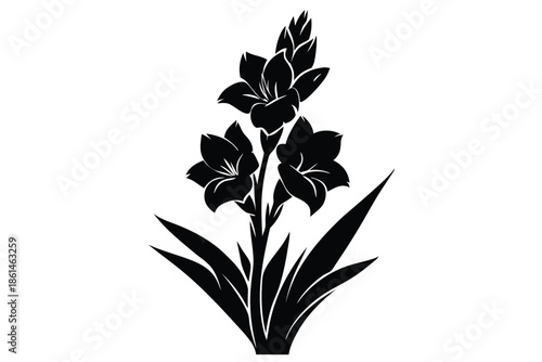 gladiolus silhouette line art vector illustration with a white background