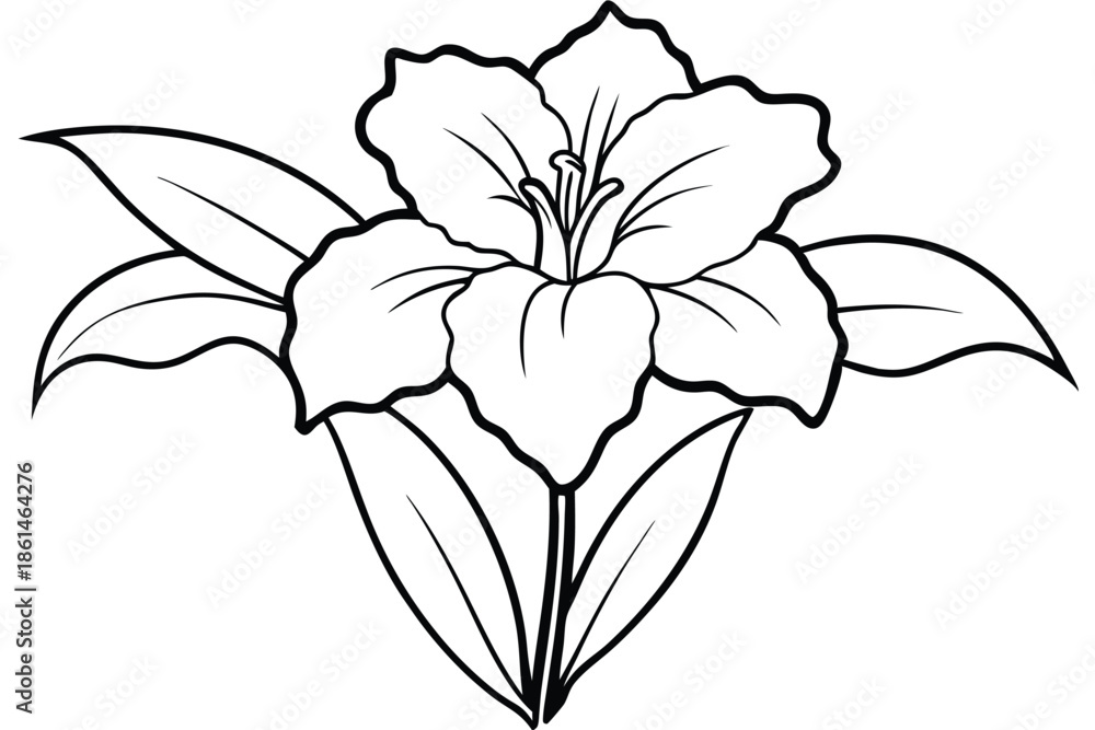 Obraz premium gladiolus silhouette line art vector illustration with a white background