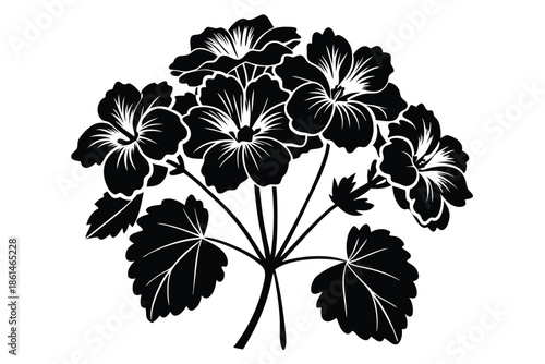 geranium silhouette line art vector illustration with a white background